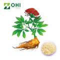 Ginseng Extract Ginsenosides Standard Residues